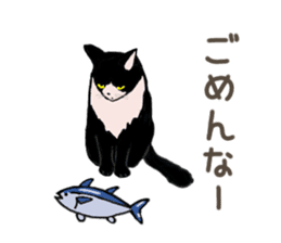 University Cat's Kansai Dialect sticker #3426122