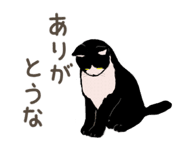 University Cat's Kansai Dialect sticker #3426123