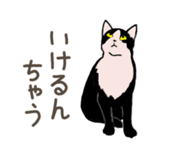 University Cat's Kansai Dialect sticker #3426125