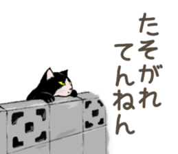 University Cat's Kansai Dialect sticker #3426126
