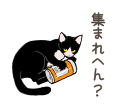 University Cat's Kansai Dialect sticker #3426128