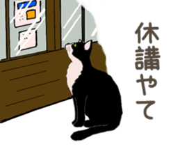 University Cat's Kansai Dialect sticker #3426129