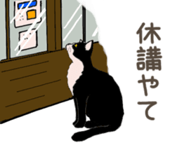 University Cat's Kansai Dialect sticker #3426129