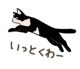 University Cat's Kansai Dialect sticker #3426130