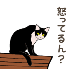 University Cat's Kansai Dialect sticker #3426131
