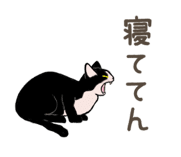 University Cat's Kansai Dialect sticker #3426132