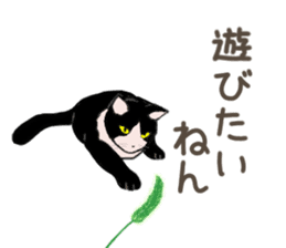 University Cat's Kansai Dialect sticker #3426135
