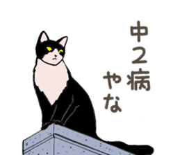 University Cat's Kansai Dialect sticker #3426137