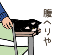 University Cat's Kansai Dialect sticker #3426138