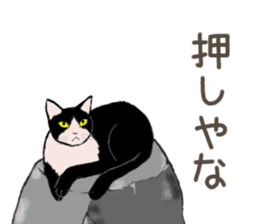 University Cat's Kansai Dialect sticker #3426139