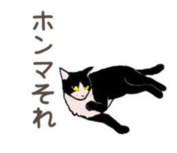 University Cat's Kansai Dialect sticker #3426140
