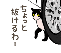 University Cat's Kansai Dialect sticker #3426141