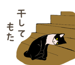 University Cat's Kansai Dialect sticker #3426142