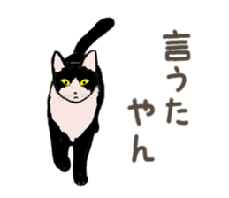 University Cat's Kansai Dialect sticker #3426143