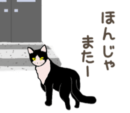 University Cat's Kansai Dialect sticker #3426145