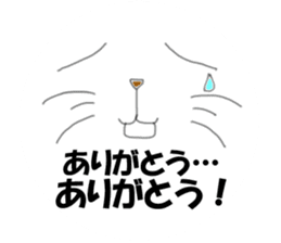 NekoGao(Cat Faces) sticker #3426512