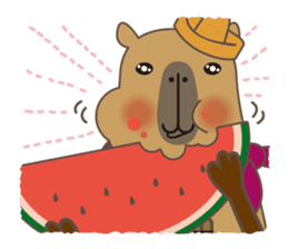 Capytan of capybara sticker #3426565