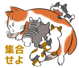 Everyone, come here! sticker #3428345