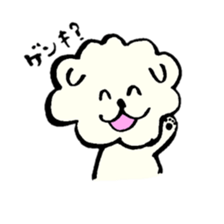 A Maltese dog and toy poodle sticker #3428815