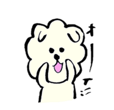 A Maltese dog and toy poodle sticker #3428816