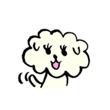 A Maltese dog and toy poodle sticker #3428830
