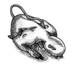 Devil's 3 sticker #3431517