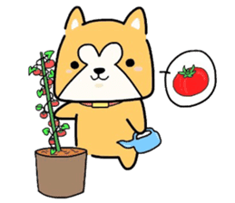 (B.B.B) ss3 Shibamaru and Tamami sticker #3432196