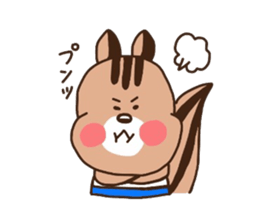squirrel rin`s sticker sticker #3436012