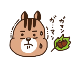 squirrel rin`s sticker sticker #3436014