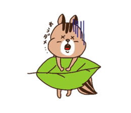 squirrel rin`s sticker sticker #3436027