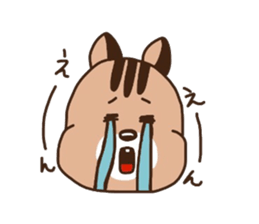squirrel rin`s sticker sticker #3436032