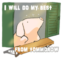 Pig-Sticker! sticker #3438393