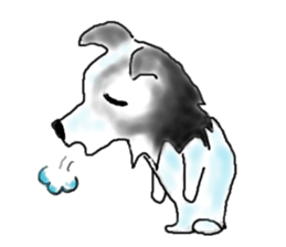 border collie Mr.Very! sticker #3441038
