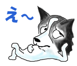 border collie Mr.Very! sticker #3441039
