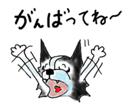 border collie Mr.Very! sticker #3441055