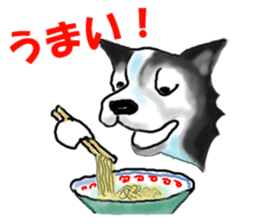 border collie Mr.Very! sticker #3441062