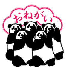 A panda is a pretty animal sticker #3442124