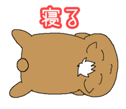 VampireXWizardXPaladin2.5 Momochanhen sticker #3442174