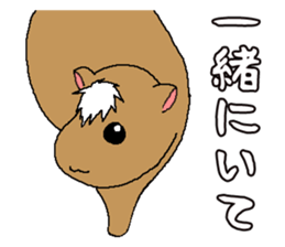 VampireXWizardXPaladin2.5 Momochanhen sticker #3442176