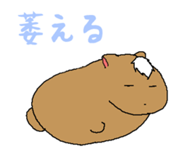 VampireXWizardXPaladin2.5 Momochanhen sticker #3442193