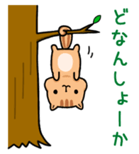 Sanuki squirrel sticker #3443215