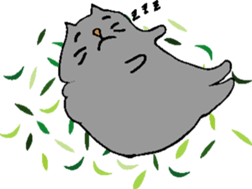 But is cat sticker #3445384