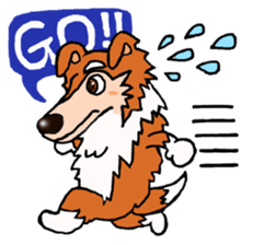 Collie Sable-kun sticker #3446356