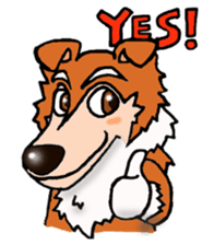 Collie Sable-kun sticker #3446357