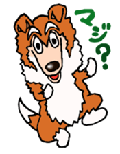 Collie Sable-kun sticker #3446359
