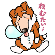 Collie Sable-kun sticker #3446369