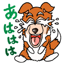 Collie Sable-kun sticker #3446370