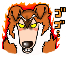 Collie Sable-kun sticker #3446371