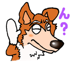 Collie Sable-kun sticker #3446373
