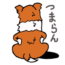 Collie Sable-kun sticker #3446374